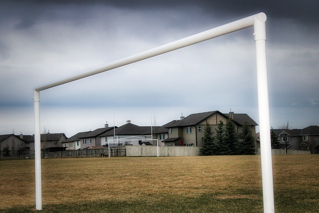 精神的核心 精神的核心