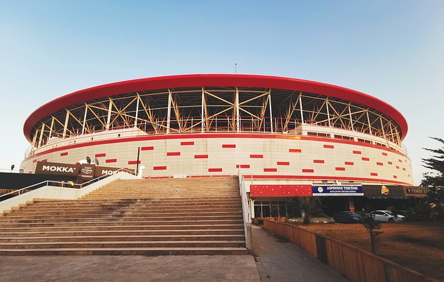 球背后的秘 球背后的秘