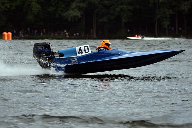 用自己的主 用自己的主