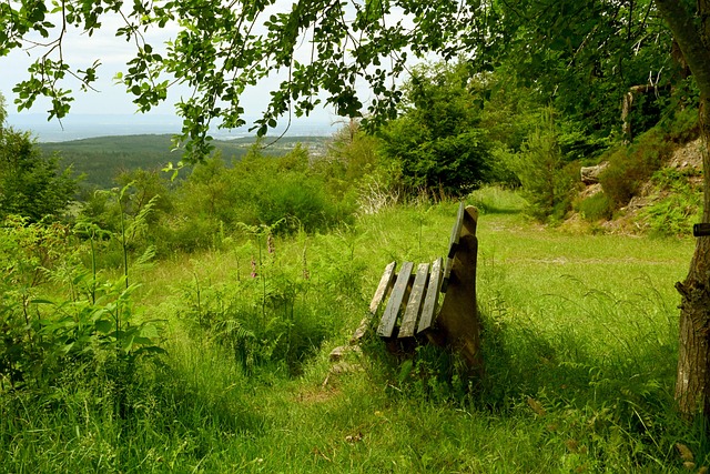 作为一支历 作为一支历