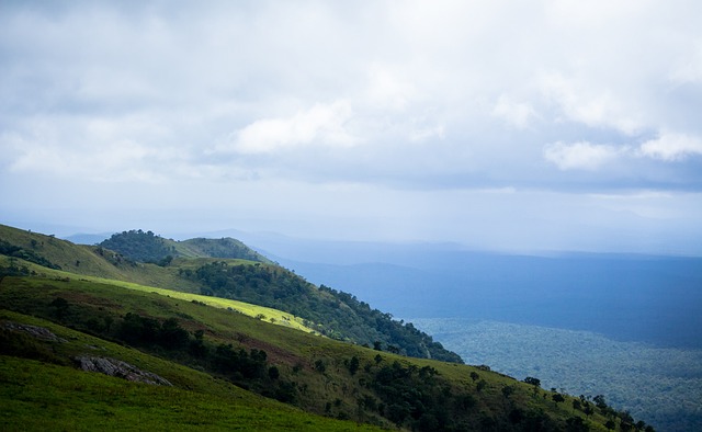 步行者队通 步行者队通