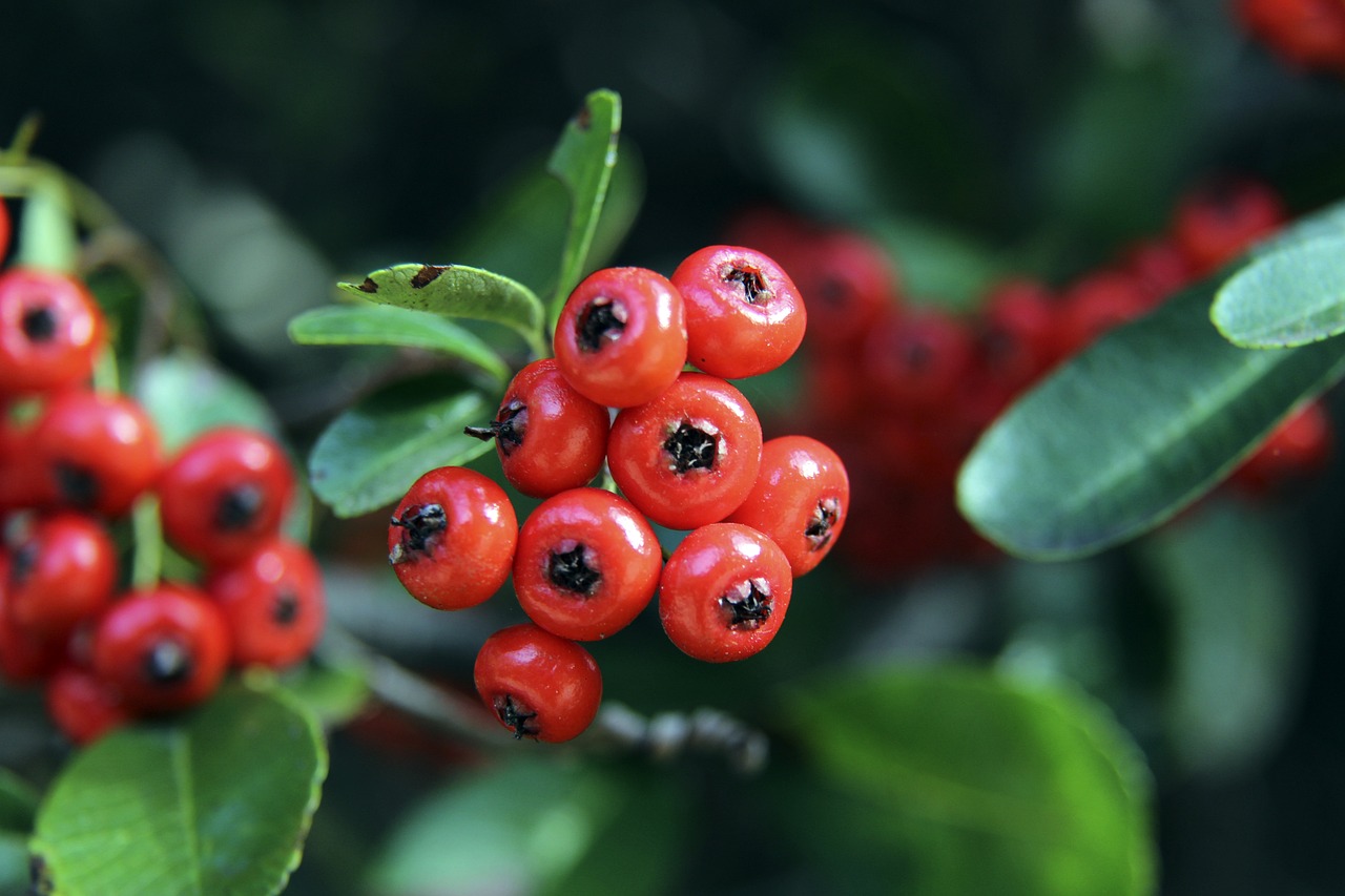 竞技状态和 竞技状态和