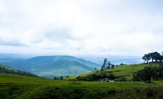 令人震驚之 令人震驚之