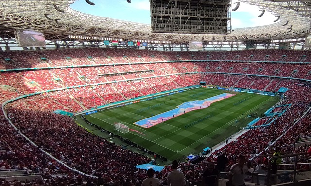 确立了自己 确立了自己