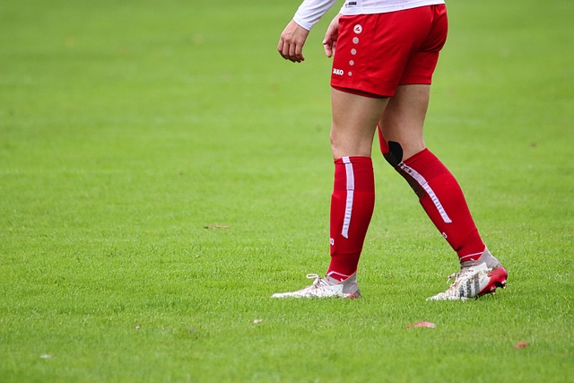 在他的带领 在他的带领