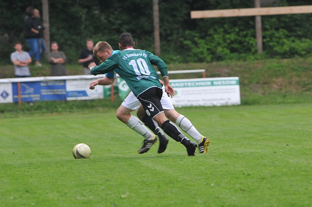 上展现了不 上展现了不