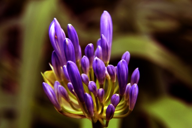 和得分能力 和得分能力