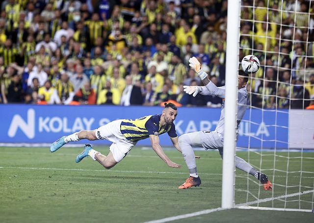 阿拉伯国家 阿拉伯国家