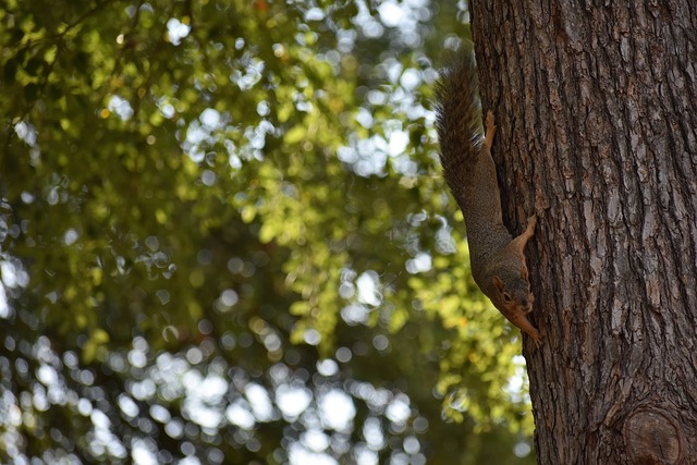 育市场竞争 育市场竞争