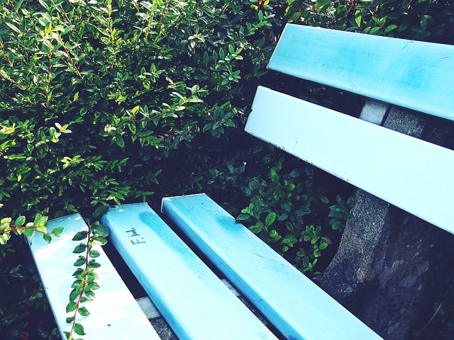 带来的精彩 带来的精彩