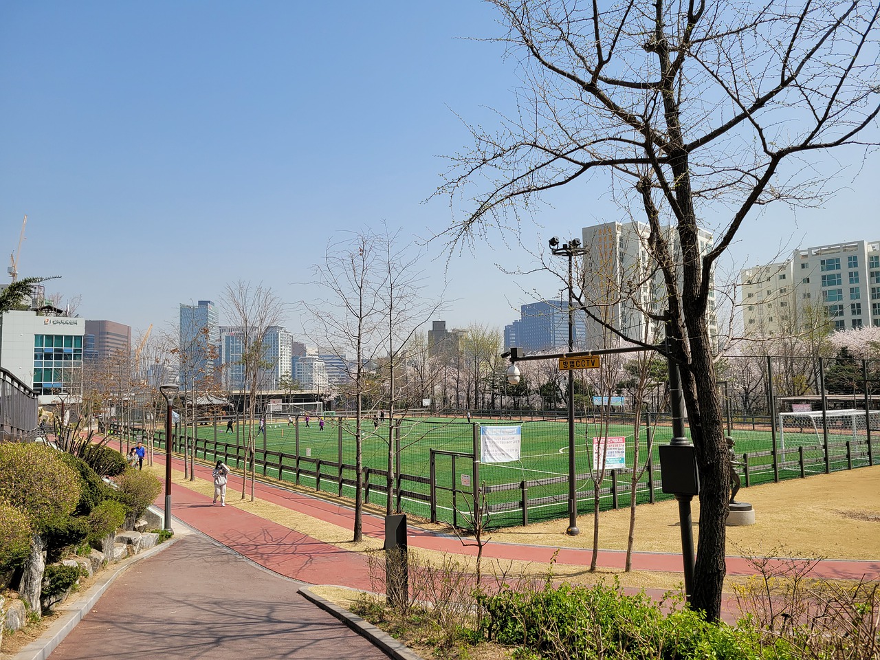 核心球员建